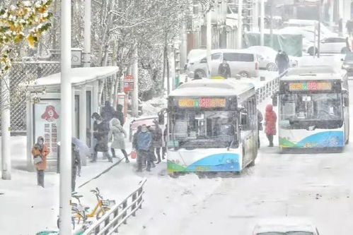 辽宁一农贸市场因强降雪坍塌，造成的经济损失严重吗？