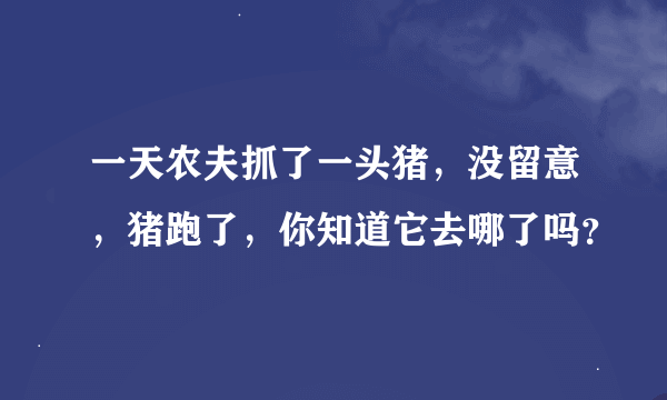 一天农夫抓了一头猪，没留意，猪跑了，你知道它去哪了吗？