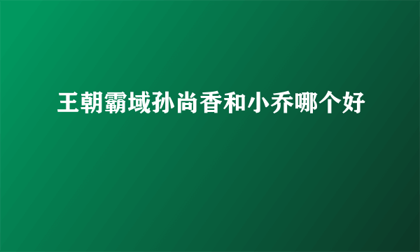 王朝霸域孙尚香和小乔哪个好