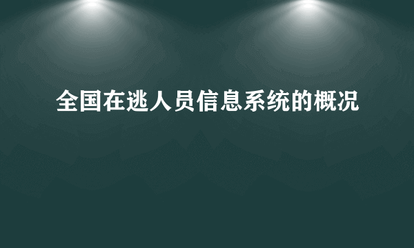 全国在逃人员信息系统的概况