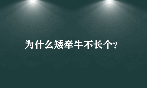 为什么矮牵牛不长个？