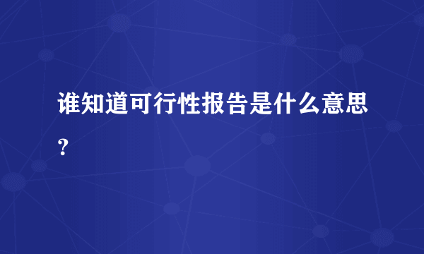 谁知道可行性报告是什么意思？