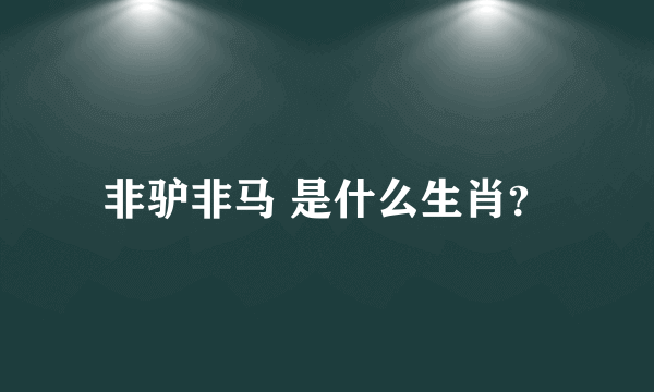 非驴非马 是什么生肖？