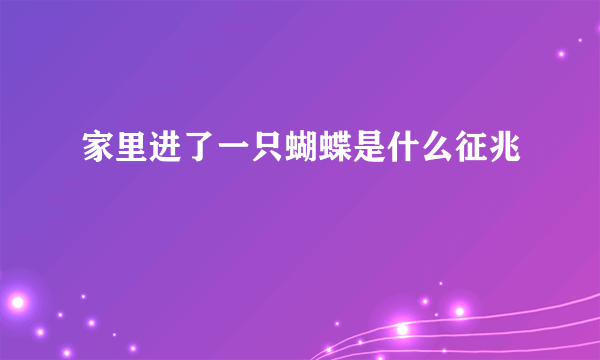 家里进了一只蝴蝶是什么征兆