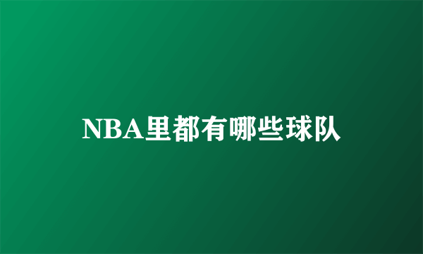 NBA里都有哪些球队