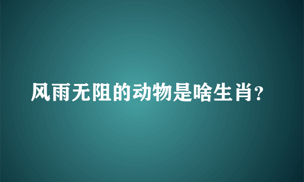 风雨无阻的动物是啥生肖？