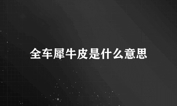 全车犀牛皮是什么意思