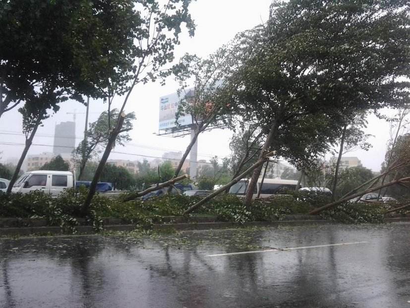 13号台风鲸鱼生成，将经过哪些地区？