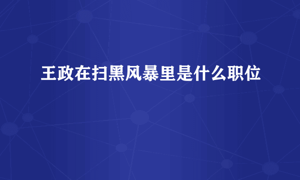 王政在扫黑风暴里是什么职位