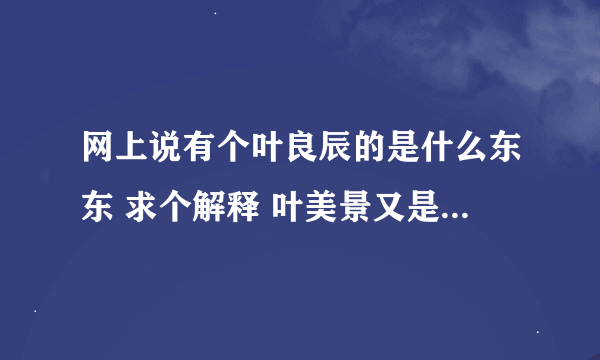 网上说有个叶良辰的是什么东东 求个解释 叶美景又是什么梗 两人有关系吗