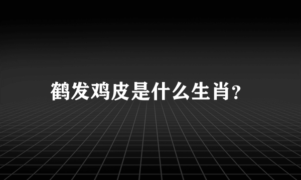 鹤发鸡皮是什么生肖？