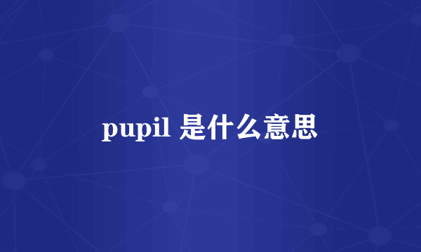 pupil 是什么意思