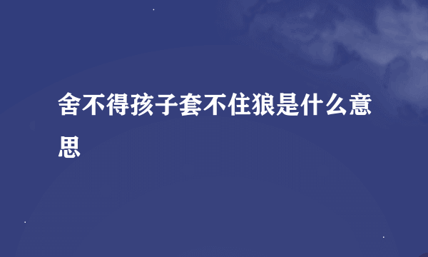 舍不得孩子套不住狼是什么意思