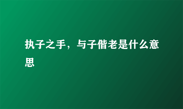 执子之手，与子偕老是什么意思