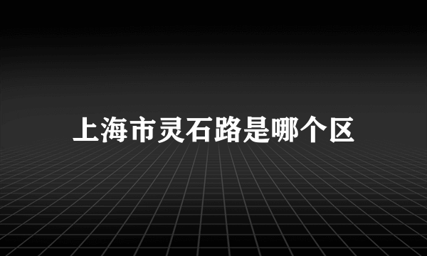 上海市灵石路是哪个区