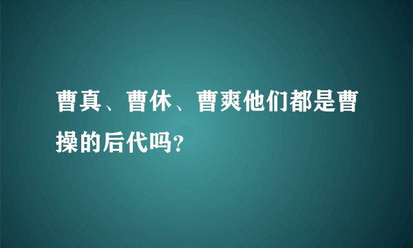 曹真、曹休、曹爽他们都是曹操的后代吗？