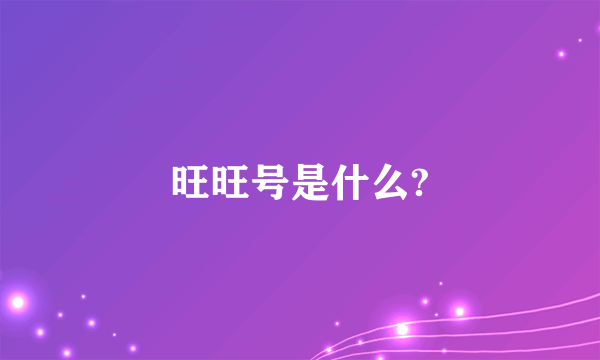 旺旺号是什么?