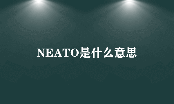 NEATO是什么意思