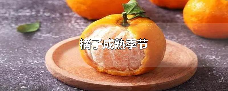 秋天会结哪些水果，时间呢？