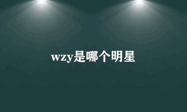 wzy是哪个明星