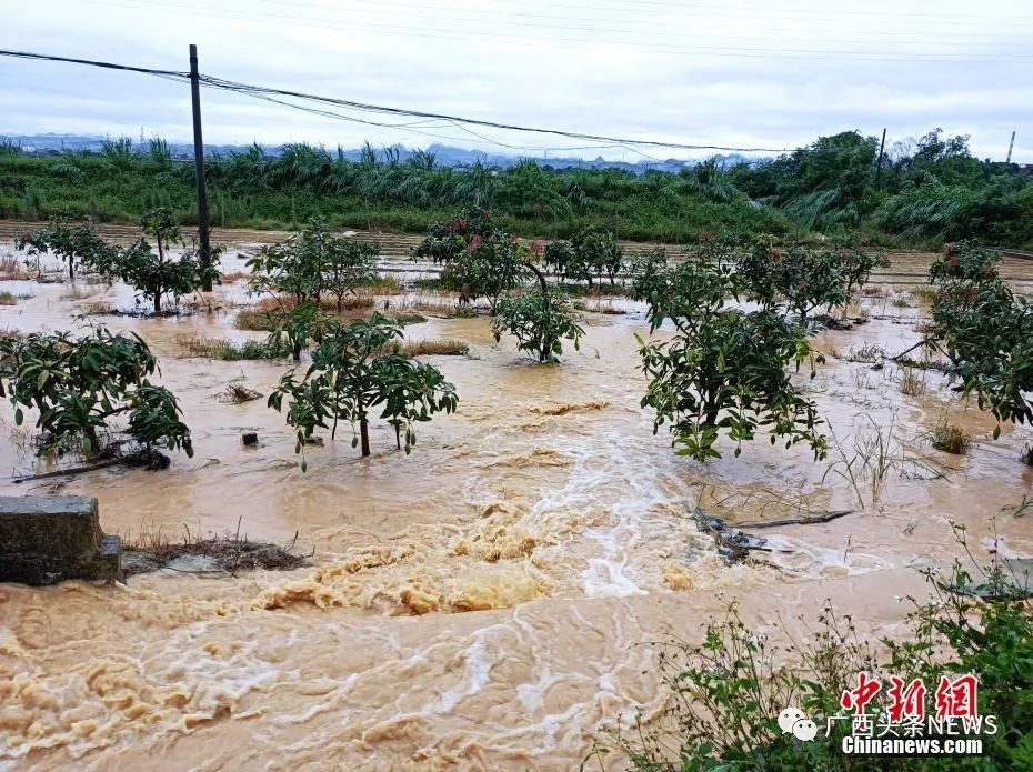 广西洪涝灾害已造成超10万人受灾，此次强降雨造成的损失有多严重？