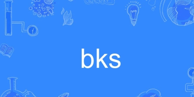 bks是什么意思?