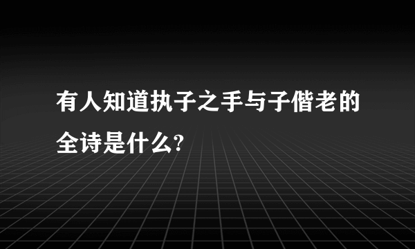 有人知道执子之手与子偕老的全诗是什么?