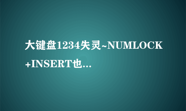 大键盘1234失灵~NUMLOCK+INSERT也不能解锁了~怎么办?