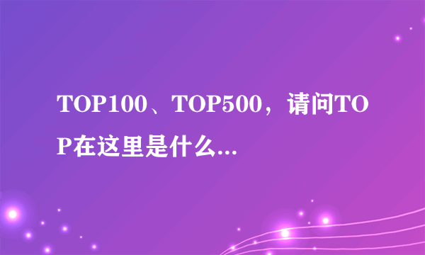 TOP100、TOP500，请问TOP在这里是什么意思啊？