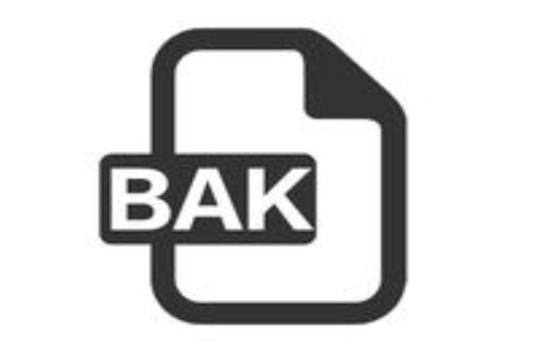 bak是什么意思啊?