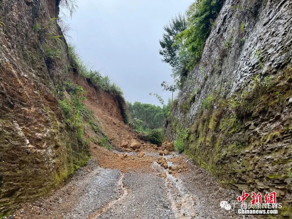 广西洪涝灾害已造成超10万人受灾，此次强降雨造成的损失有多严重？