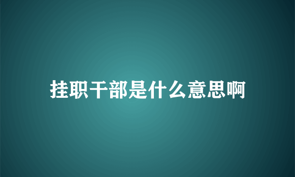 挂职干部是什么意思啊