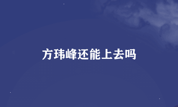 方玮峰还能上去吗