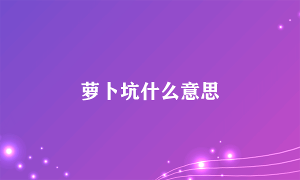 萝卜坑什么意思