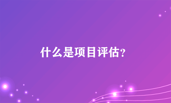 什么是项目评估？