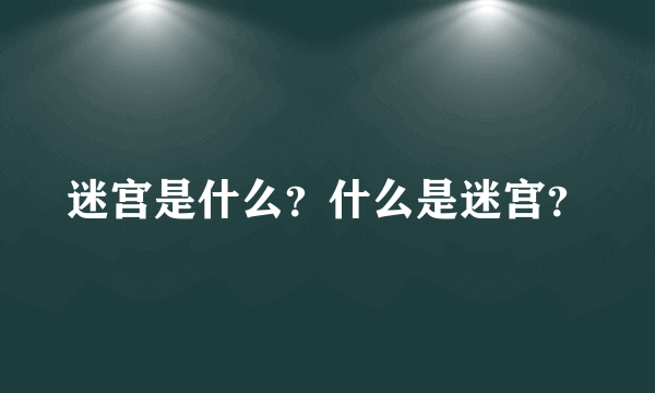 迷宫是什么？什么是迷宫？