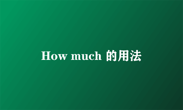 How much 的用法