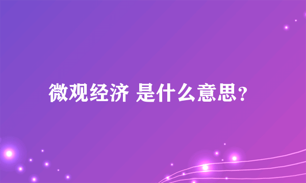 微观经济 是什么意思？