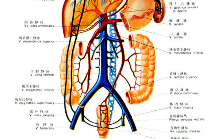 男人肚子左下腹胀痛是什么原因