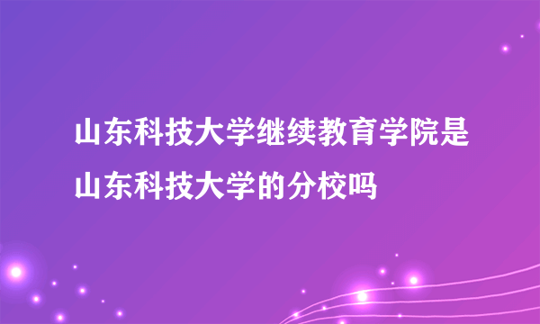 山东科技大学继续教育学院是山东科技大学的分校吗