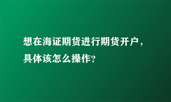 想在海证期货进行期货开户，具体该怎么操作？