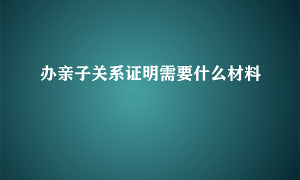 办亲子关系证明需要什么材料