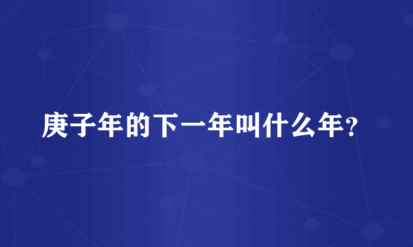 庚子年的下一年叫什么年？