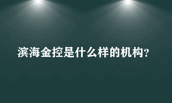 滨海金控是什么样的机构？