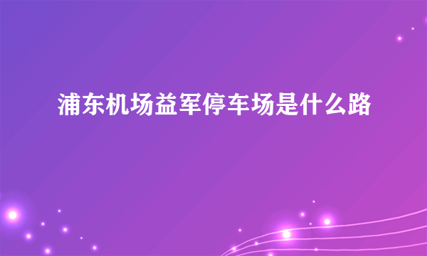 浦东机场益军停车场是什么路