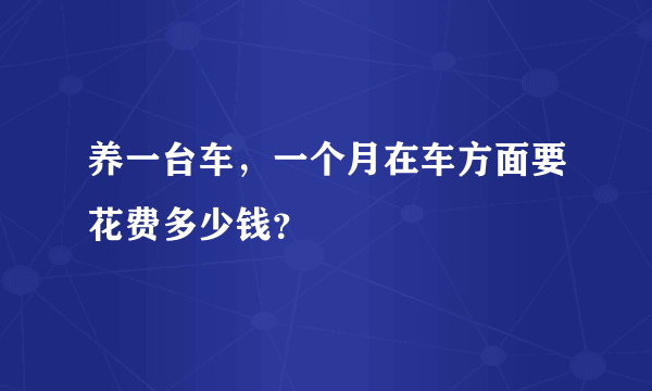 养一台车，一个月在车方面要花费多少钱？