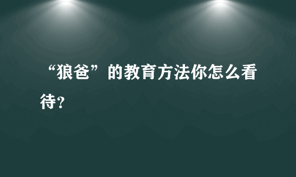 “狼爸”的教育方法你怎么看待？