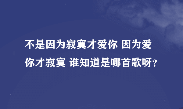 不是因为寂寞才爱你 因为爱你才寂寞 谁知道是哪首歌呀？