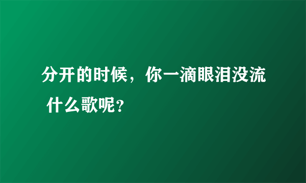 分开的时候，你一滴眼泪没流 什么歌呢？