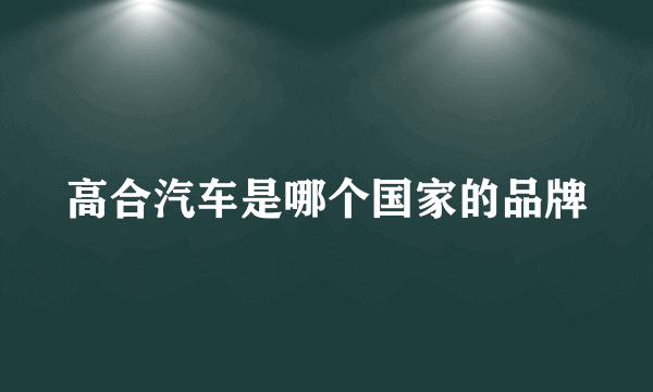 高合汽车是哪个国家的品牌